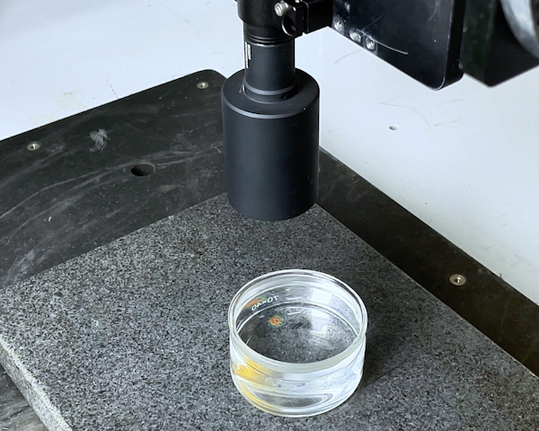 Measuring the Surface Height of Liquids in Different Colors with Spectral Confocal Sensor