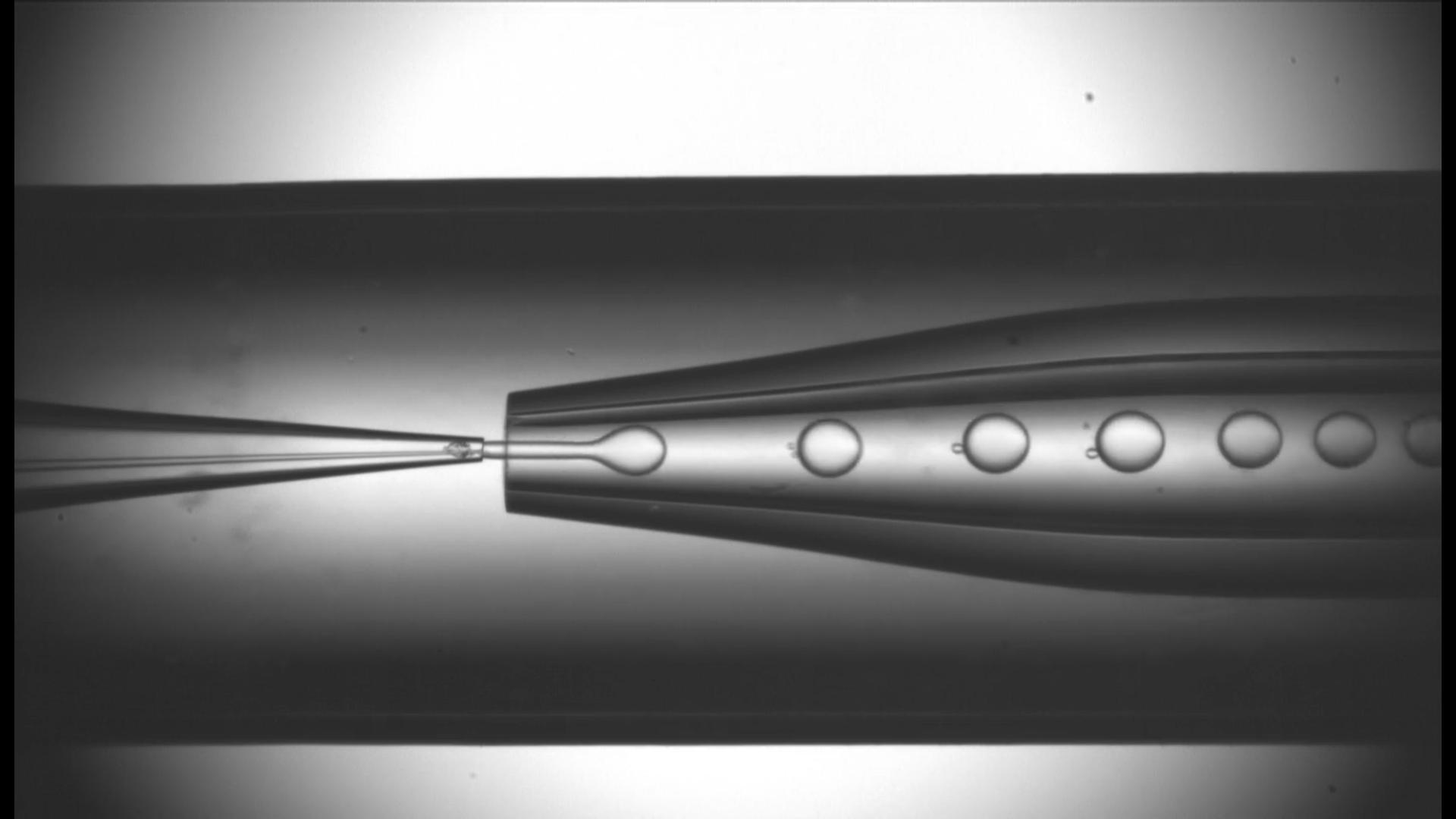Observe Fluid Flow in Microfluidic Chips with High-Speed Camera