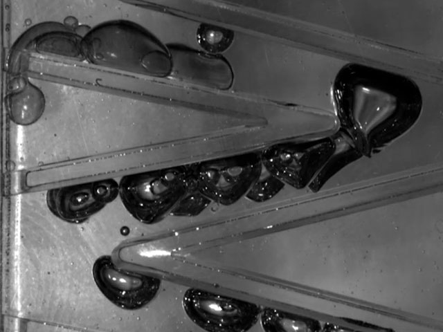Observation of Water-Oil Mixture Dynamics with High-Speed Camera