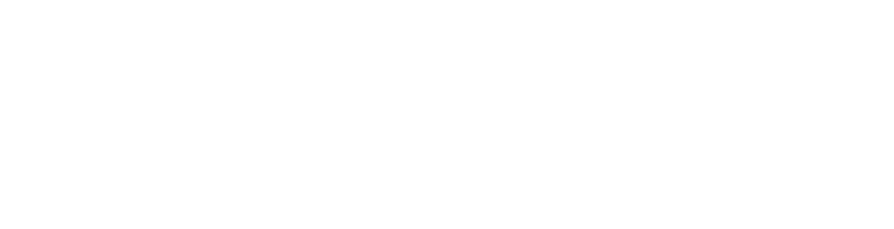 SinceVision