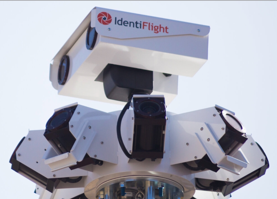 AI Takes Flight: How Machine Vision Protects Birds and Boosts Wind Power