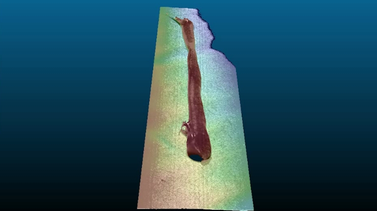 How SinceVision&amp;#039;s Integrated 3D Laser Profiler Transforms Glue Quality Inspection in the consumer electronics Industry