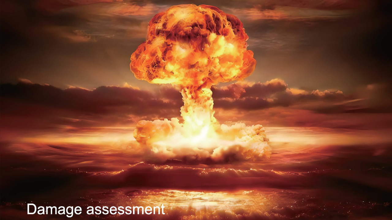 1734427840384050.png Damage Assessment.png