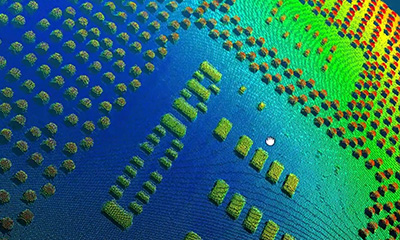 1763619258103571.jpg BGA Package Solder Ball Flatness 1.jpg