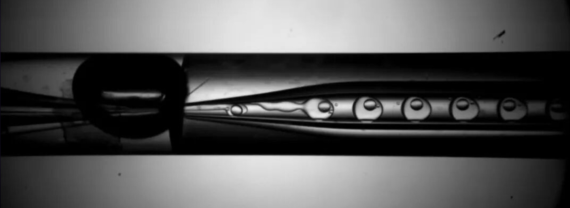 Observe Fluid Flow in Microfluidic Chips