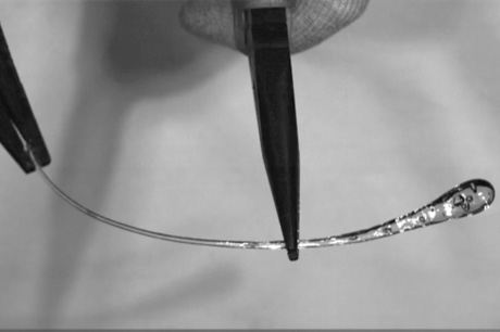 Observation of the Ruperts Drop Shattering Process