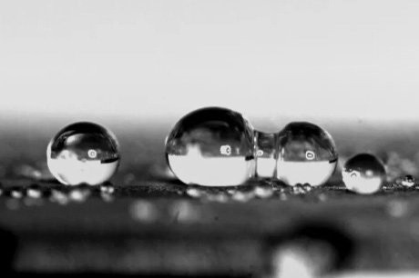 Capture the droplet coalescence process