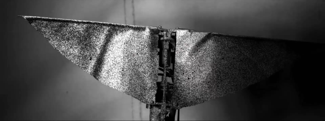 Biomimetic Wing Flapping Analysis with Digital Image Correlation (DIC)