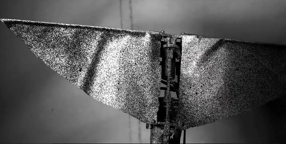 Observation of Stress Variation During the Flapping of Bionic Moth Wings