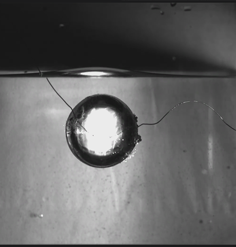 Observation of Cavitation Phenomena Produced by Underwater Discharge