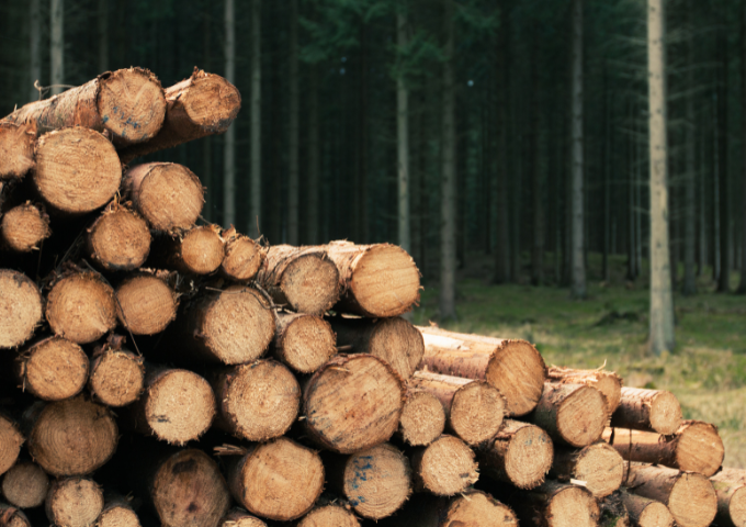 Wood Surface Defect Inspection and Volume Measurement with 3D Laser Profiler